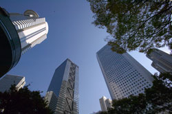 City sky line